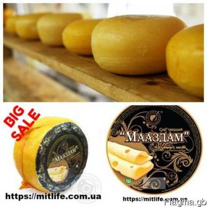 Сыр Мааздам Твердые сыры Молодые сыры LLC Mitlife
