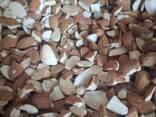 Almond - photo 2