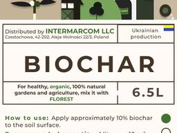 Biochar