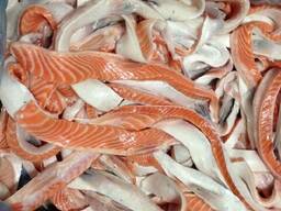 Buy Frozen Atlantic Salmon Bellies For Sale / Whole Salmon Fish HON / Frozen Salmon Bellie