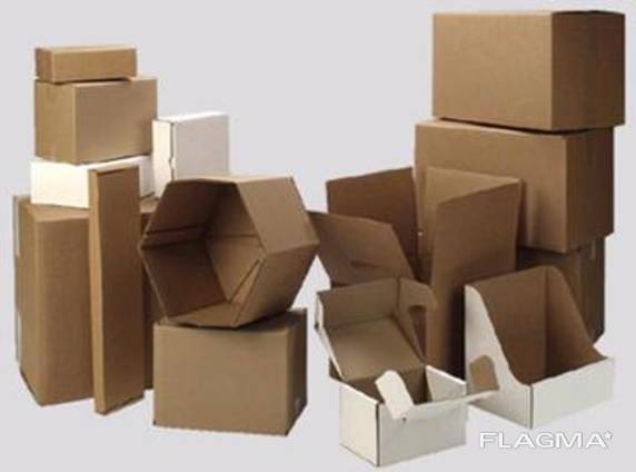 Cardboard