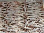 Chicken Feet and chicken paws and whole halal chicken at the best prices with prompt shipp - photo 2