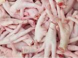 Chicken Feet / Frozen Chicken Paws Brazil / Fresh chicken wings and foot - photo 2