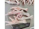 Chicken Feet / Frozen Chicken Paws Brazil / Fresh chicken wings and foot - photo 5