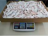 Chicken Feet / Frozen Chicken Paws Brazil / Fresh chicken wings and foot - photo 7
