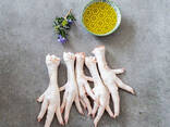 Chicken Feet / Frozen Chicken Paws Brazil / Fresh chicken wings and foot - photo 10