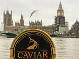 100% Натуральная чёрная икра от компании London Caviar House. - photo 2