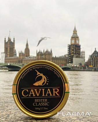 НАСТОЯЩАЯ -100% Натуральная Чёрная Икра от компании London Caviar House.