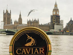 НАСТОЯЩАЯ -100% Натуральная Чёрная Икра от компании London Caviar House.