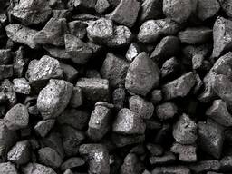Coal