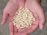 Complete Wood Pellet Production Line Turnkey biomass pellet solution machine - photo 1