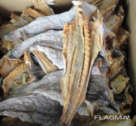 Dried stockfish