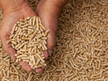 EU Standard Wood Pellets - photo 1