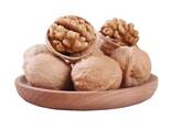 Factory supply walnut lowest price in shell walnuts kernels - photo 1