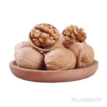 Factory supply walnut lowest price in shell walnuts kernels