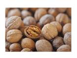 Factory supply walnut lowest price in shell walnuts kernels - photo 6