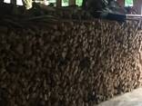 Firewood - photo 6