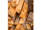 Firewood Chopped Oak Fire Wood Kiln Dried Briquettes Beech Oak Firewood - фото 3