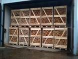 Firewood in crates - photo 2