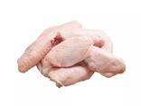 Fresh Frozen Chicken Frozen Chicken Middle 3 Joint Wing at Best Price - photo 1