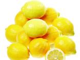 Fresh lemon fruits for sale - photo 1