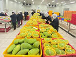 Fresh Mango from Vietnam - photo 1