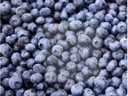 Frozen berries and fruits, berry-and-fruit mixes, and compote mixes