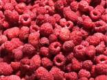 Frozen berries and fruits, berry-and-fruit mixes, and compote mixes - photo 2
