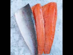 Frozen Pink Salmon Fillets Boneless/ Norwegian Salmon Fish/ Wholesale Salmon for export