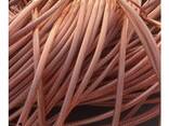 Grade AA strong Copper Quality of copper wire scrap 99.99% copper scrap Mill-berry 99.99% - photo 3