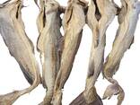High Grade Dried Stock Fish Dried Stockfish / Stock fish Cod from Norway ready for exports - photo 3