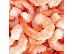 High Quality Frozen Raw Shrimp