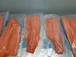Norwegian Atlantic Wild Salmon Fillet / Whole Round Fresh Pink Salmon For Sale/ Trout Fish