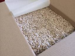 I will sell confectionery sunflower kernels from 22 tons