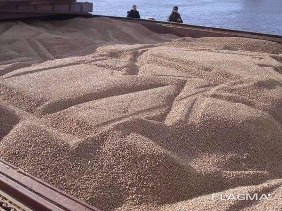 Industrial wood pellets