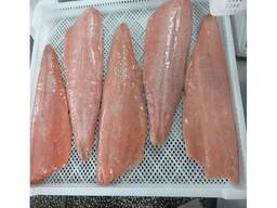 IQF fresh-frozen Coho salmon fish bodies (gutted &amp; headless)/ frozen seafood natural