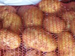 Картофель молодой