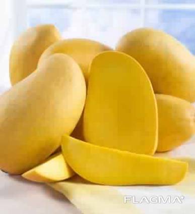 Mango at the lowest price. harvest 5/2019 .