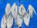 Мороженные морепродукты в Великобританию от завода из Китая - фото 2