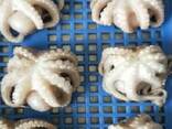 Мороженные морепродукты в Великобританию от завода из Китая - photo 7