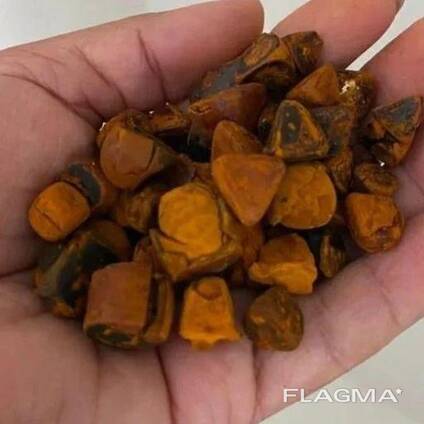 Cattle/Ox Gallstones