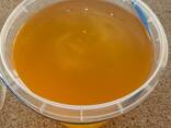 Natural Flower Honey Wholesale from the Manufacturer! Ukraine - photo 1