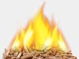 Oak Wood Pellets - photo 1
