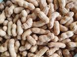 Peanuts from Sunny Uzbekistan - photo 10