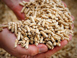 Plus-A1 Pine Wood Pellets / wood pellet size 6mm 8mm - Export worldwide - photo 1