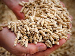 Plus-A1 Pine Wood Pellets / wood pellet size 6mm 8mm - Export worldwide