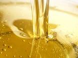 Sunflower oil - photo 5