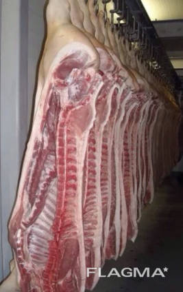 Pork