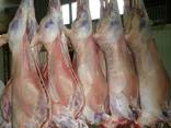 Поставки мяса баранины и субпродукты свиные из Испании - фото 2