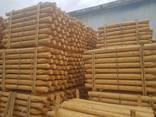 Posts and poles, debarked, machine rounded - photo 1